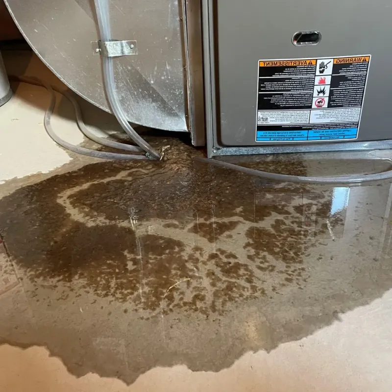 Pipe Burst and Leak Restoration in McPherson County, KS